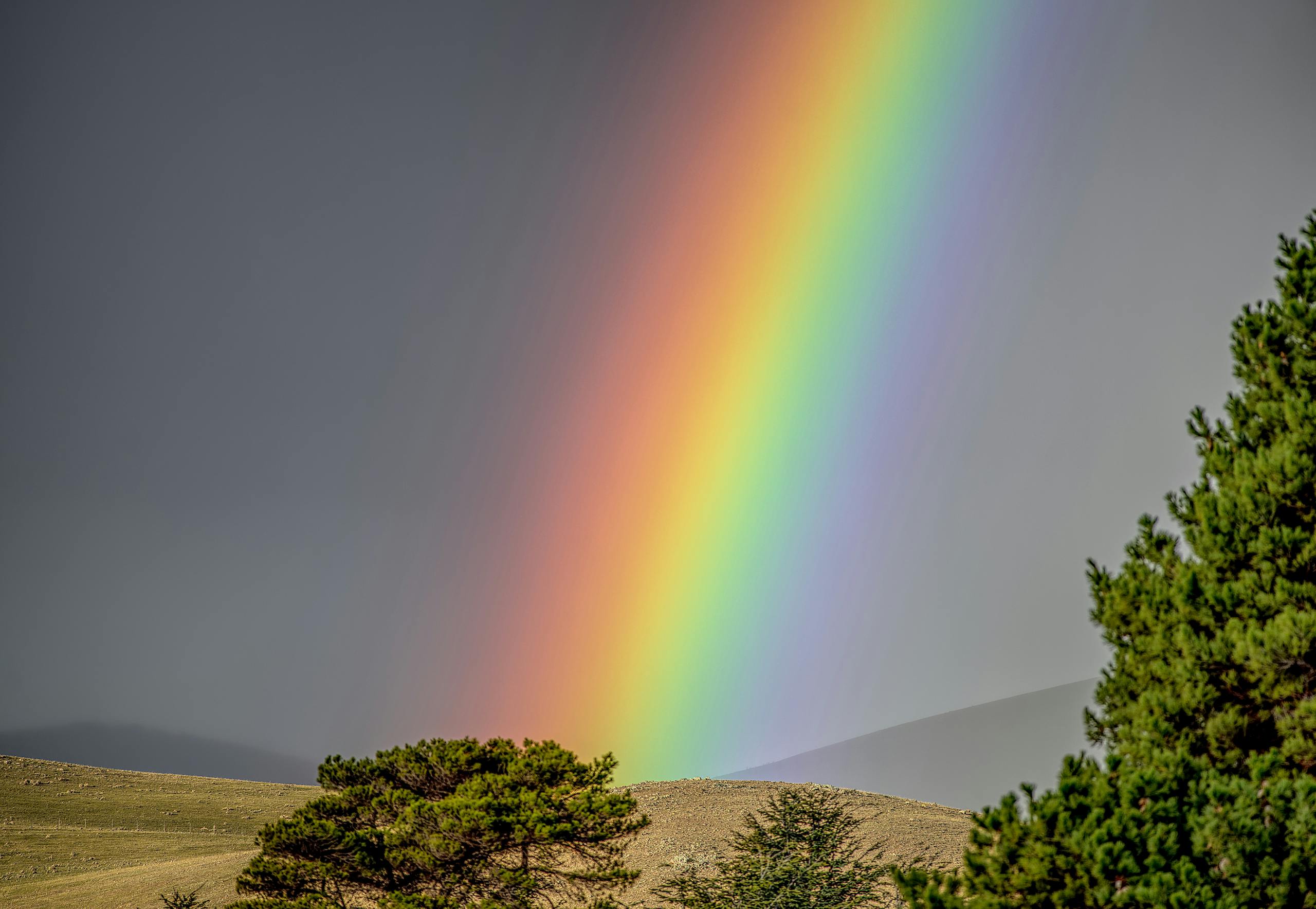 A vivid rainbow arches across a cloudy sky over a pine forest and hilly landscape.